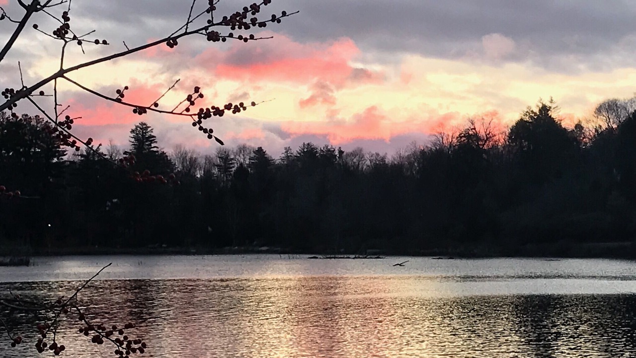 Photo of Outdoor in Smallwood