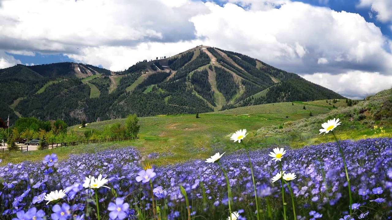 Photo of Others in Warm Springs