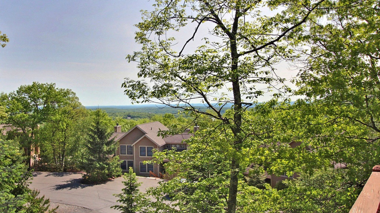 Photo of Outdoor in Tannersville