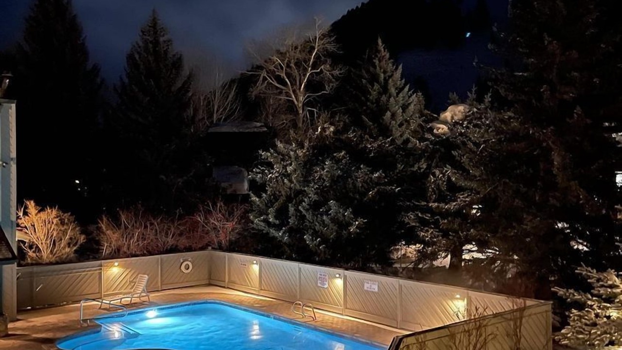 Photo of Outdoor in Warm Springs
