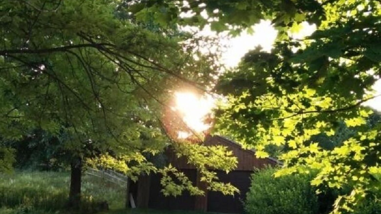 Photo of Outdoor in Damascus