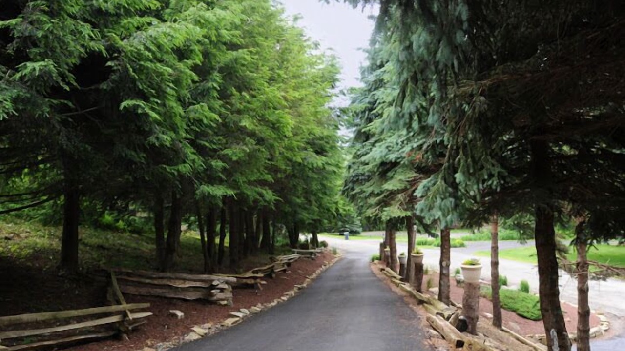 Photo of Outdoor in Champion
