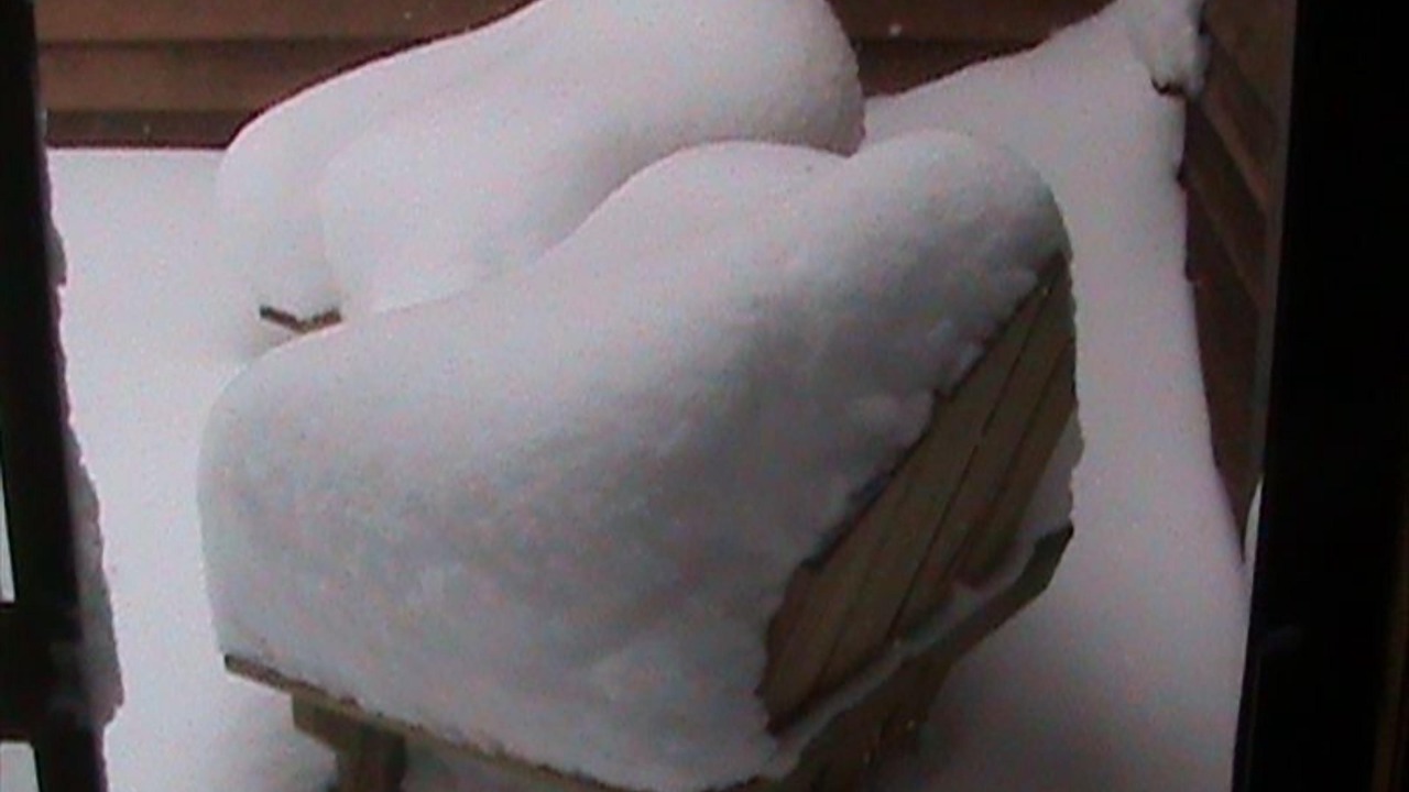 Photo of Others in Seven Springs