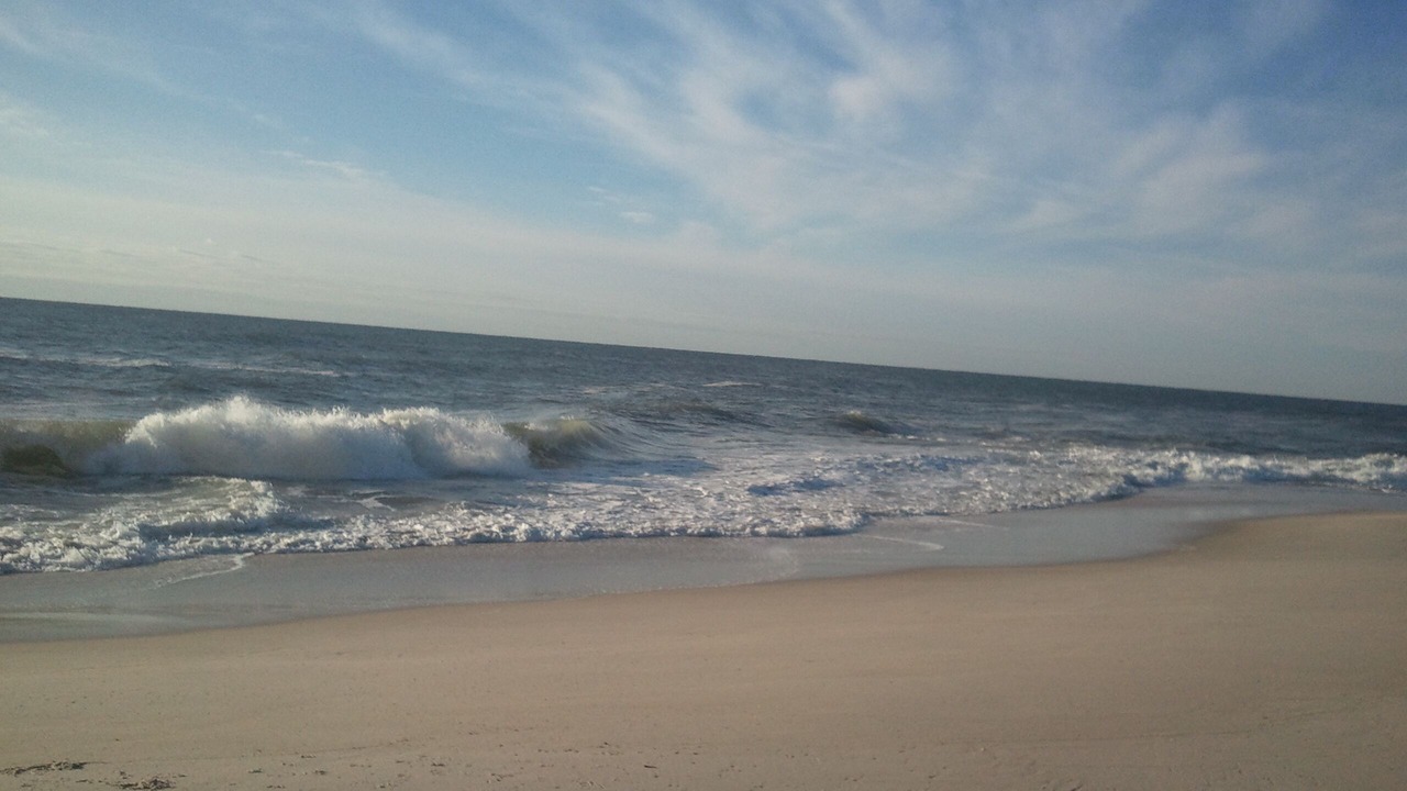 Photo of Others in Beach Haven Terrace