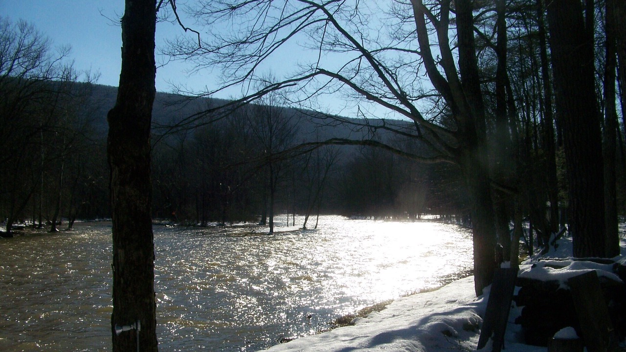 Photo of Others in Millmont