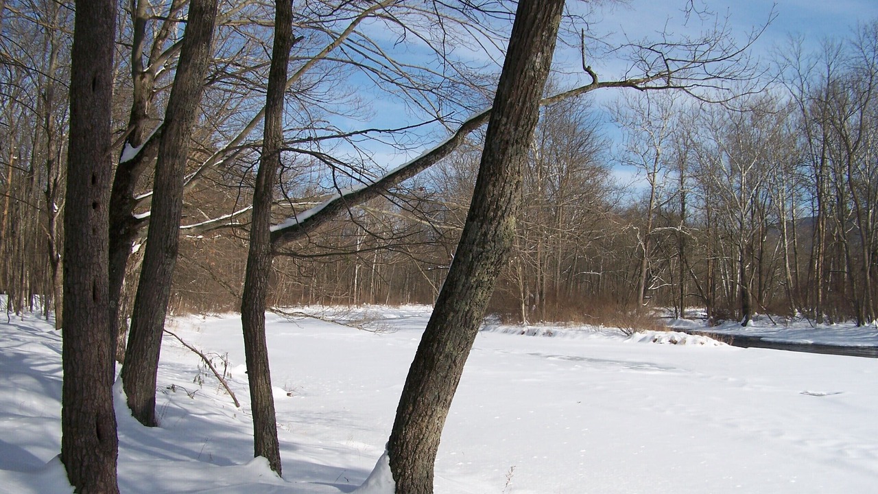 Photo of Others in Millmont