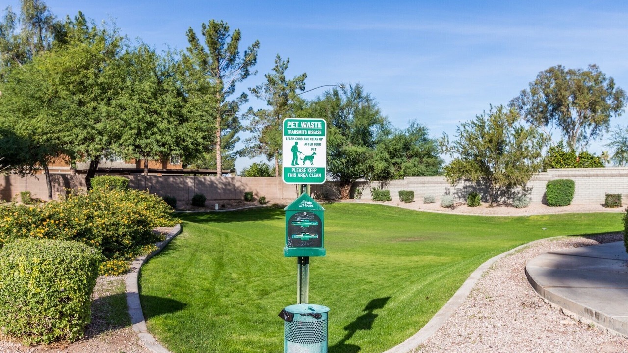 Photo of Outdoor in Alta Mesa