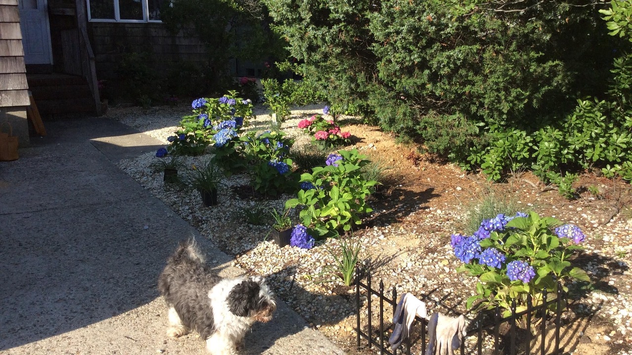 Photo of Outdoor in Lavallette