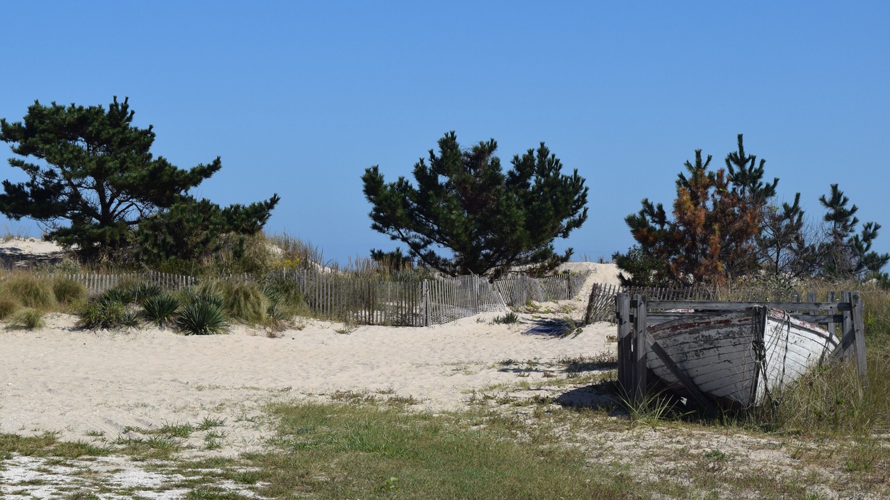 Photo of Others in Dewey Beach