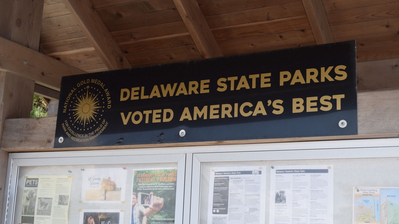Photo of Others in Dewey Beach