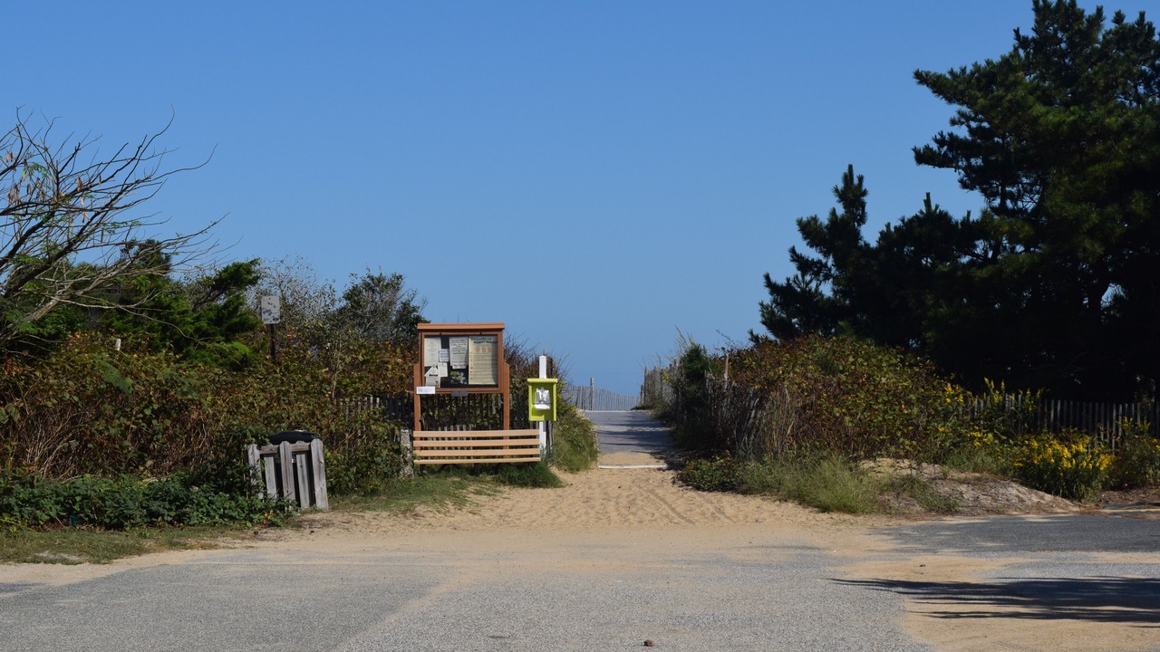 Photo of Others in Dewey Beach
