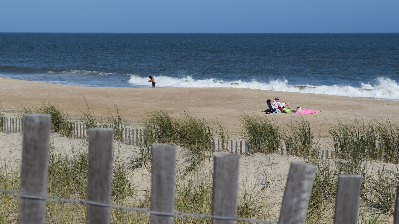 Photo of Others in Dewey Beach
