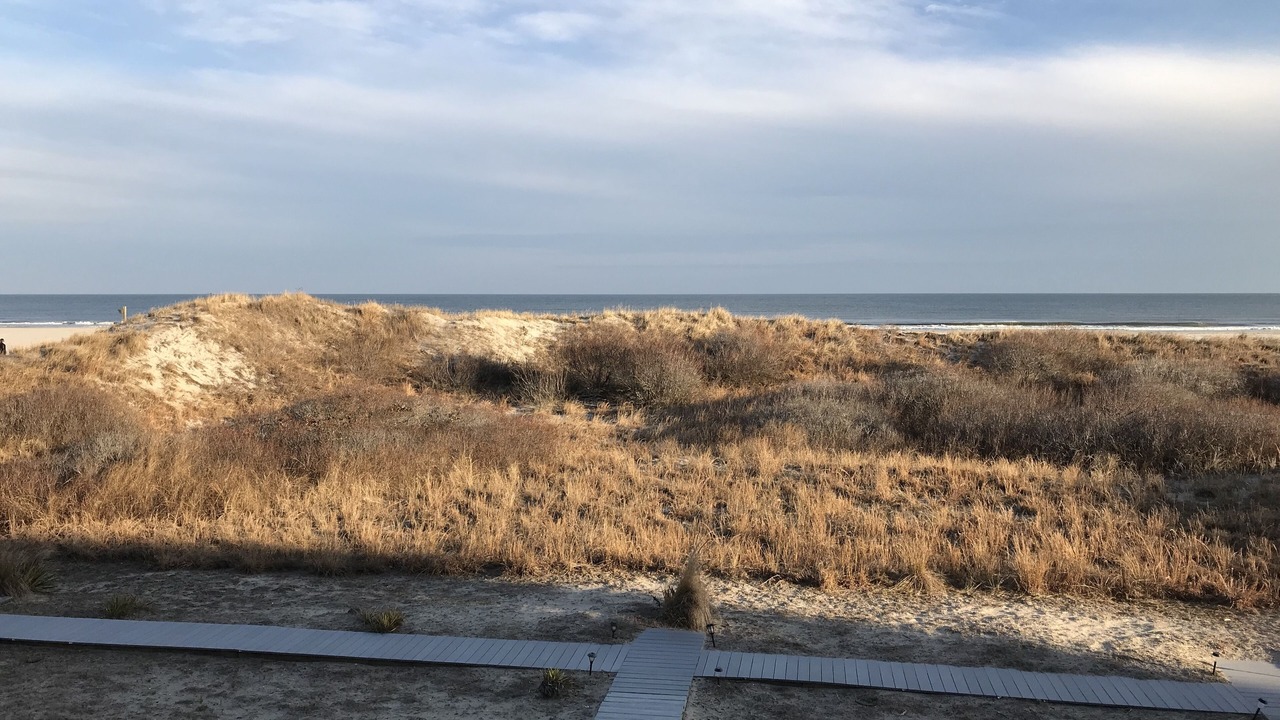 Photo of Others in Diamond Beach