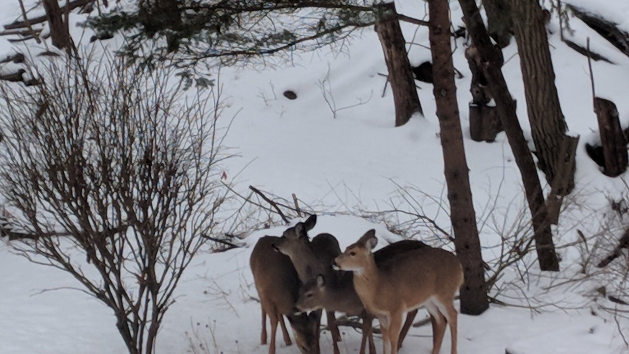 Photo of Others in Amherst