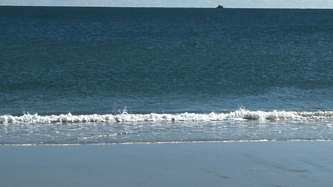 Photo of Others in South Beach Haven