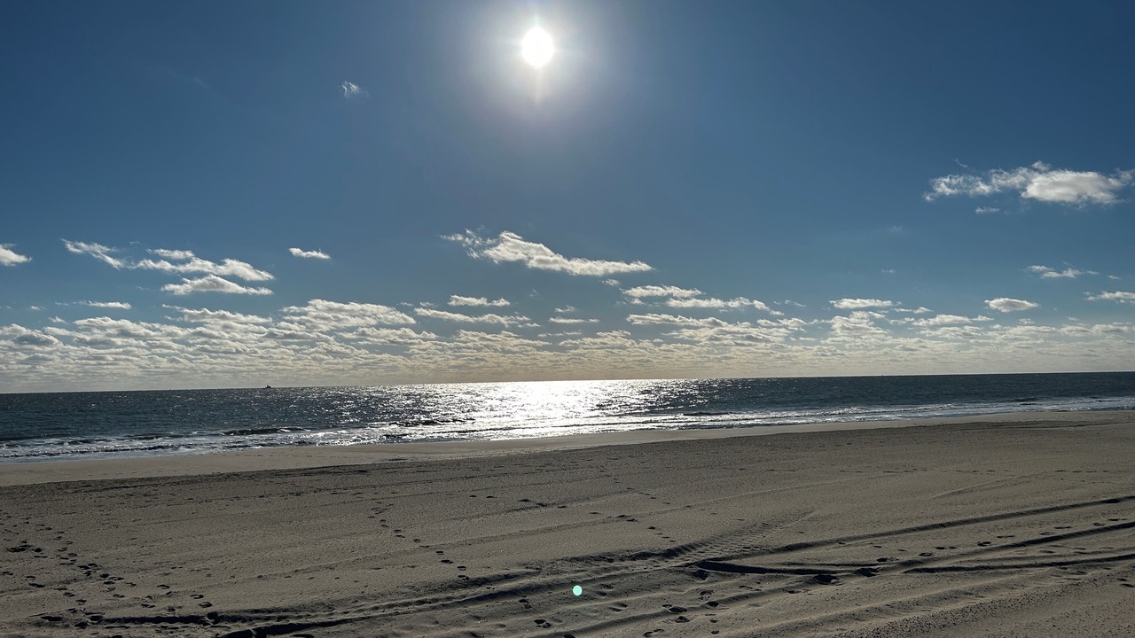 Photo of Others in South Beach Haven