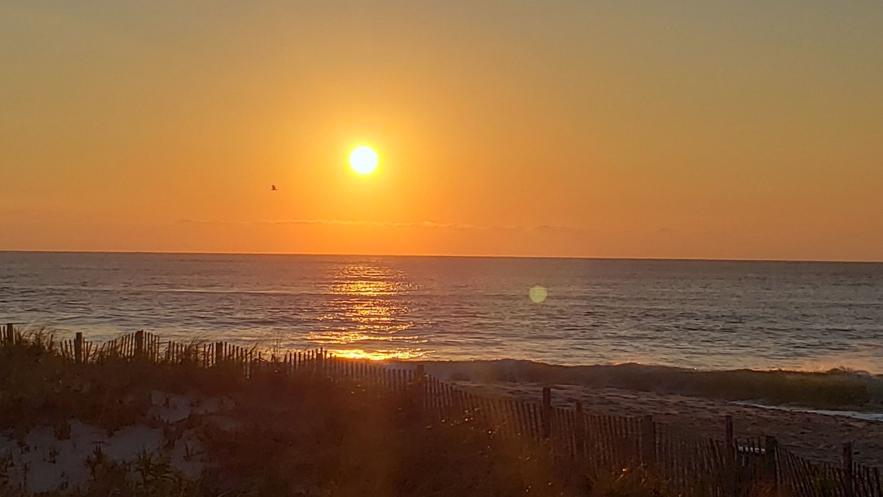 Photo of Others in South Beach Haven