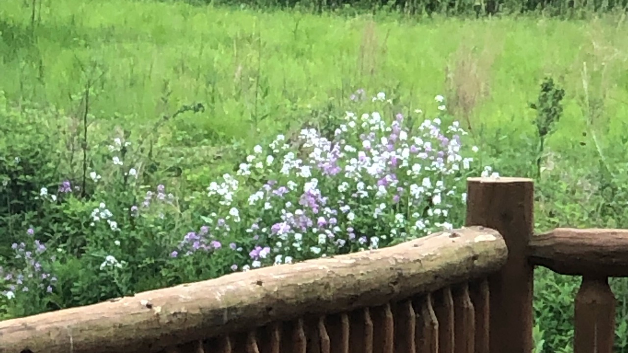 Photo of Outdoor in Wheeling