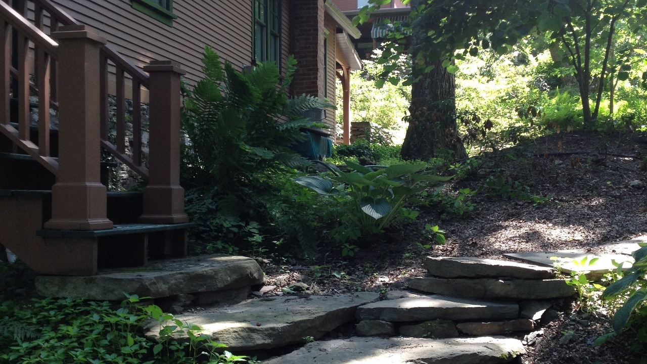 Photo of Outdoor in Wapwallopen