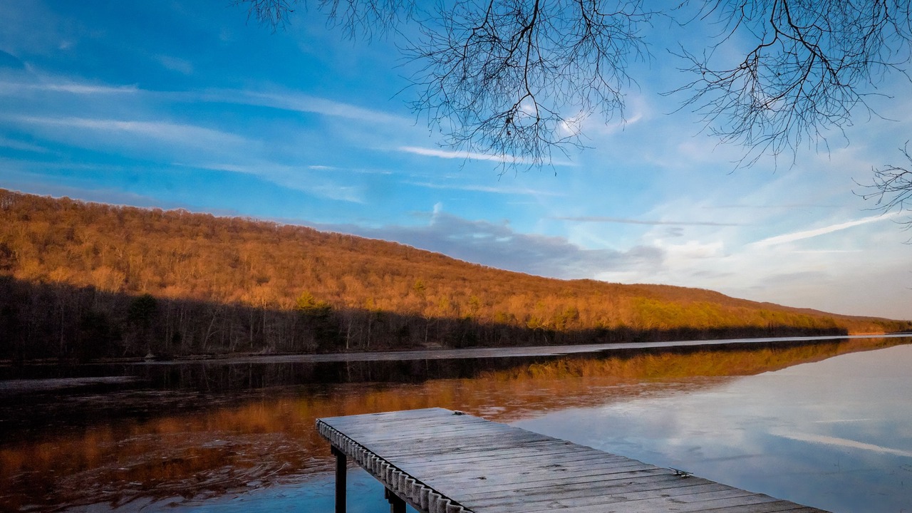 Photo of Others in Wapwallopen