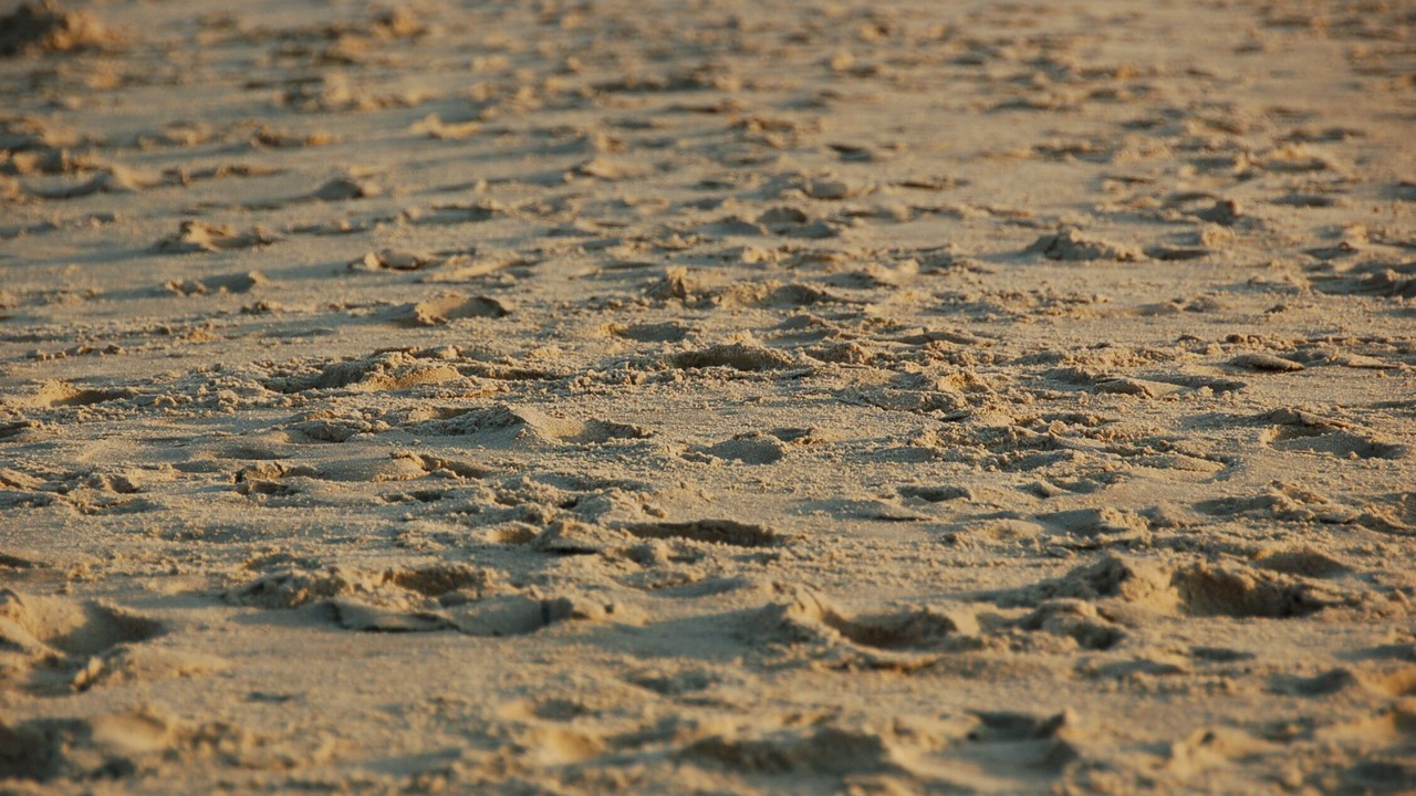 Photo of Others in Rehoboth Beach