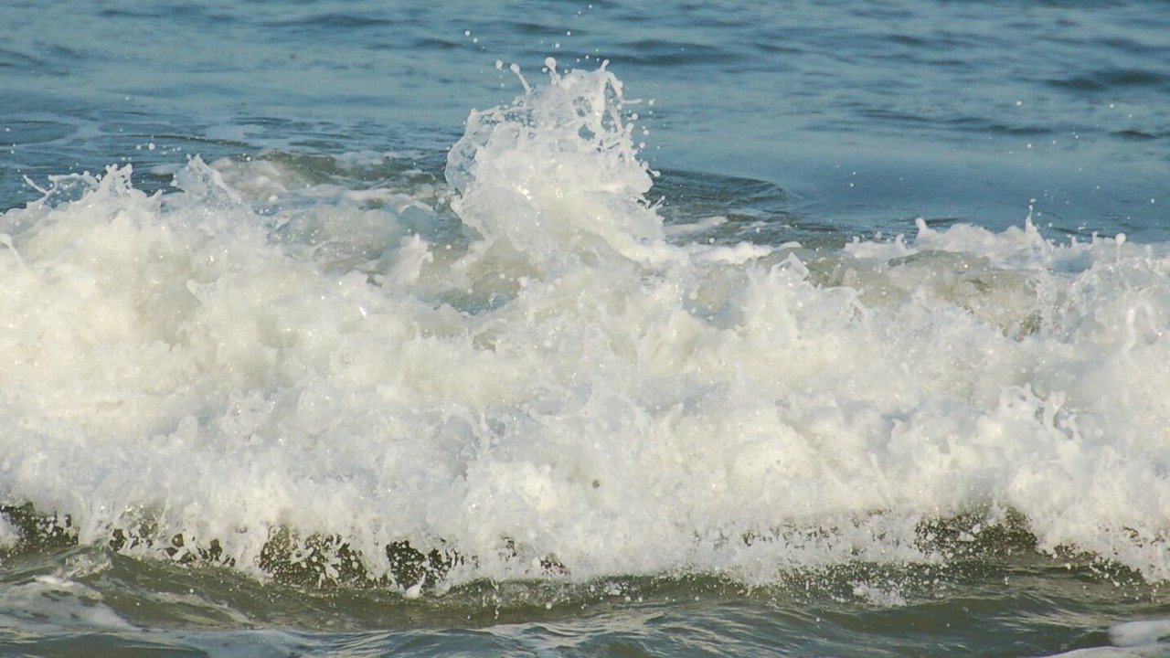 Photo of Others in Rehoboth Beach