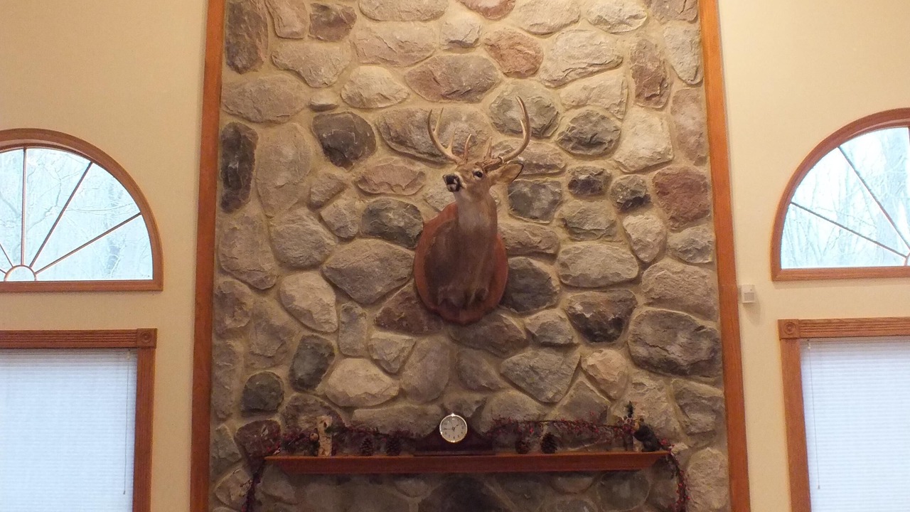 Photo of Livingroom in Peebles