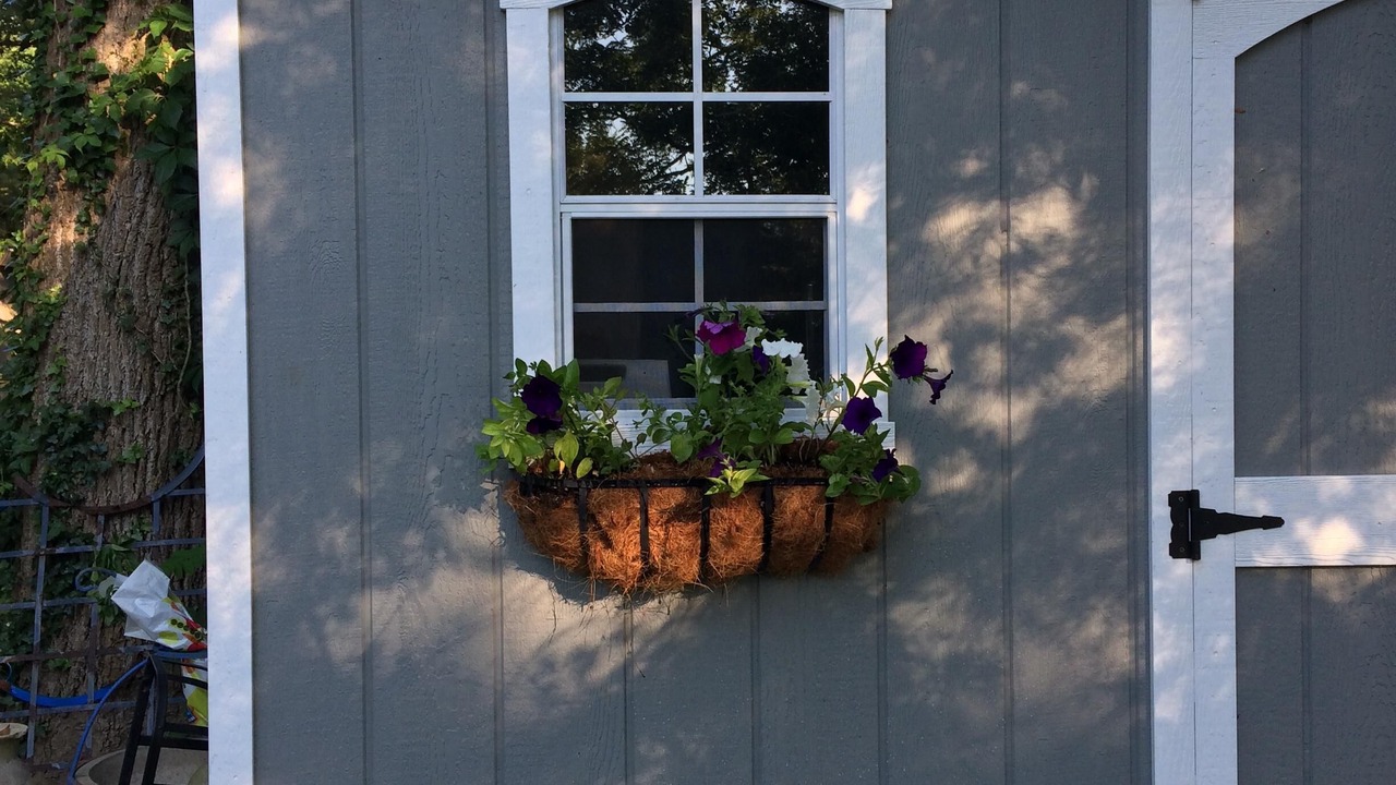 Photo of Outdoor in West Cape May