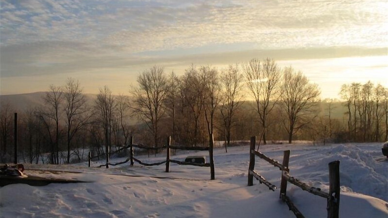 Photo of Others in Mill Run