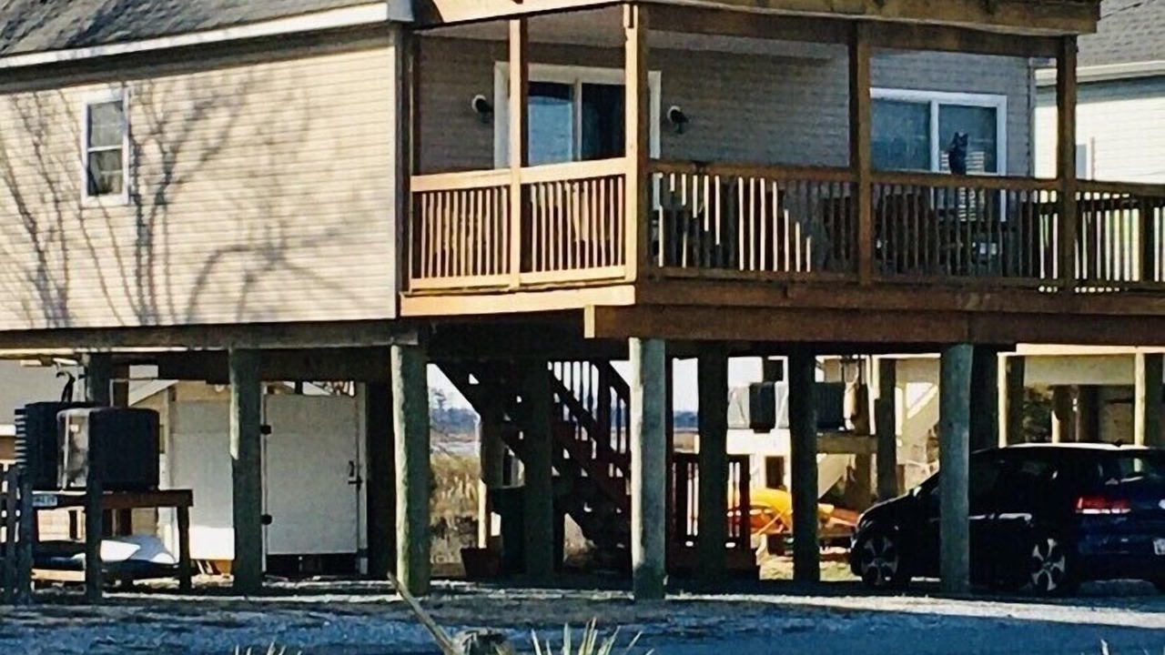 Photo of Others in Prime Hook Beach