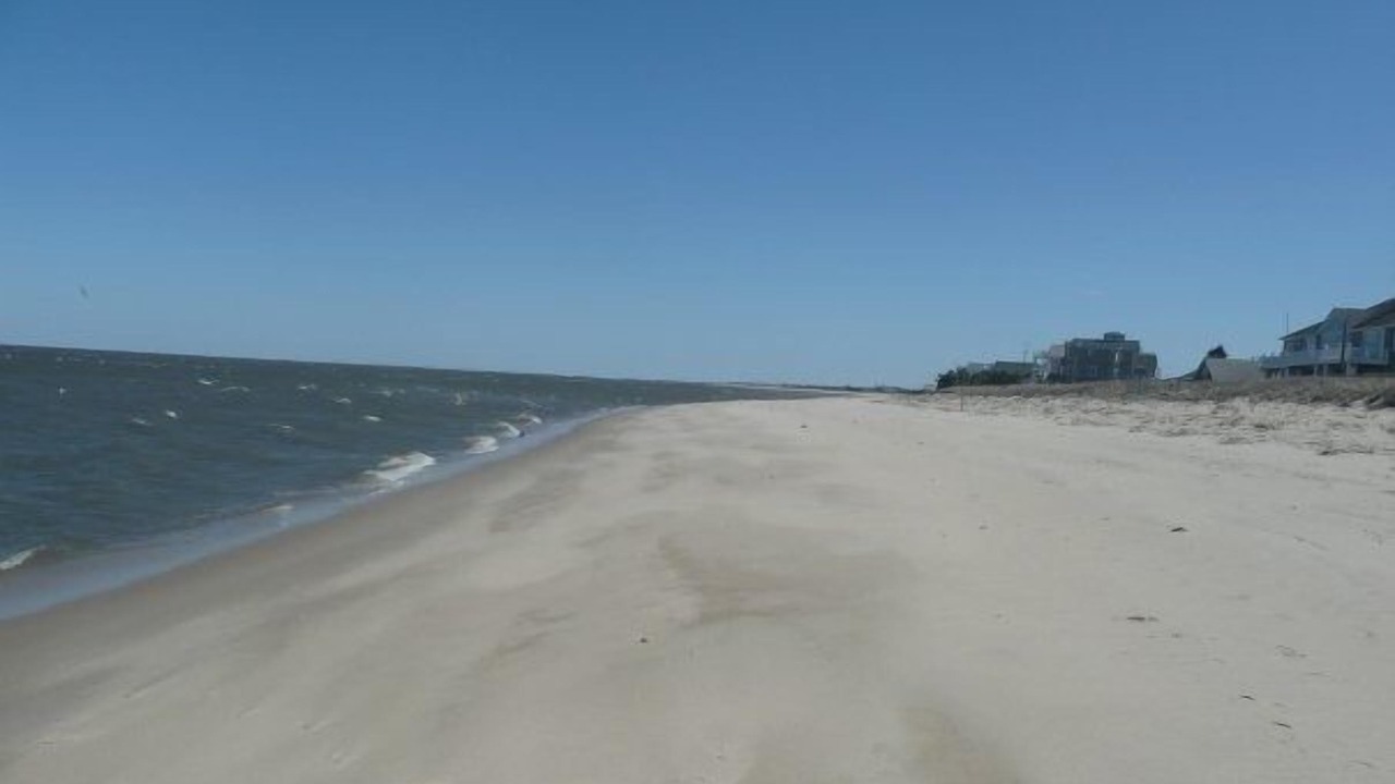 Photo of Others in Prime Hook Beach