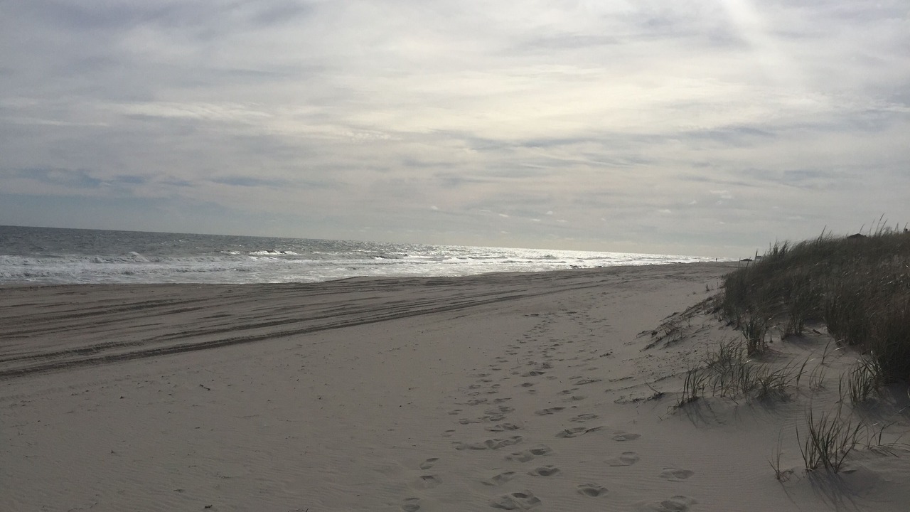 Photo of Others in Lavallette