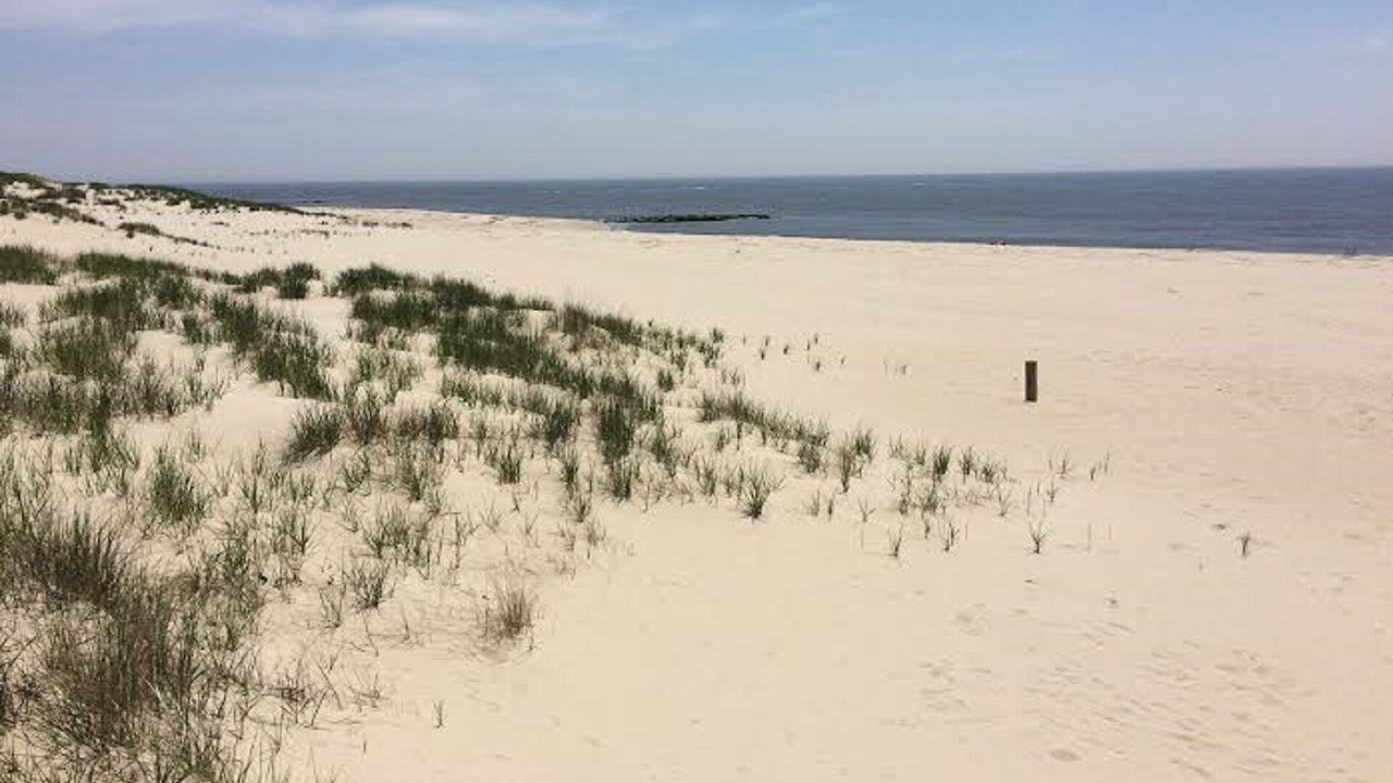 Photo of Others in Cape May Point