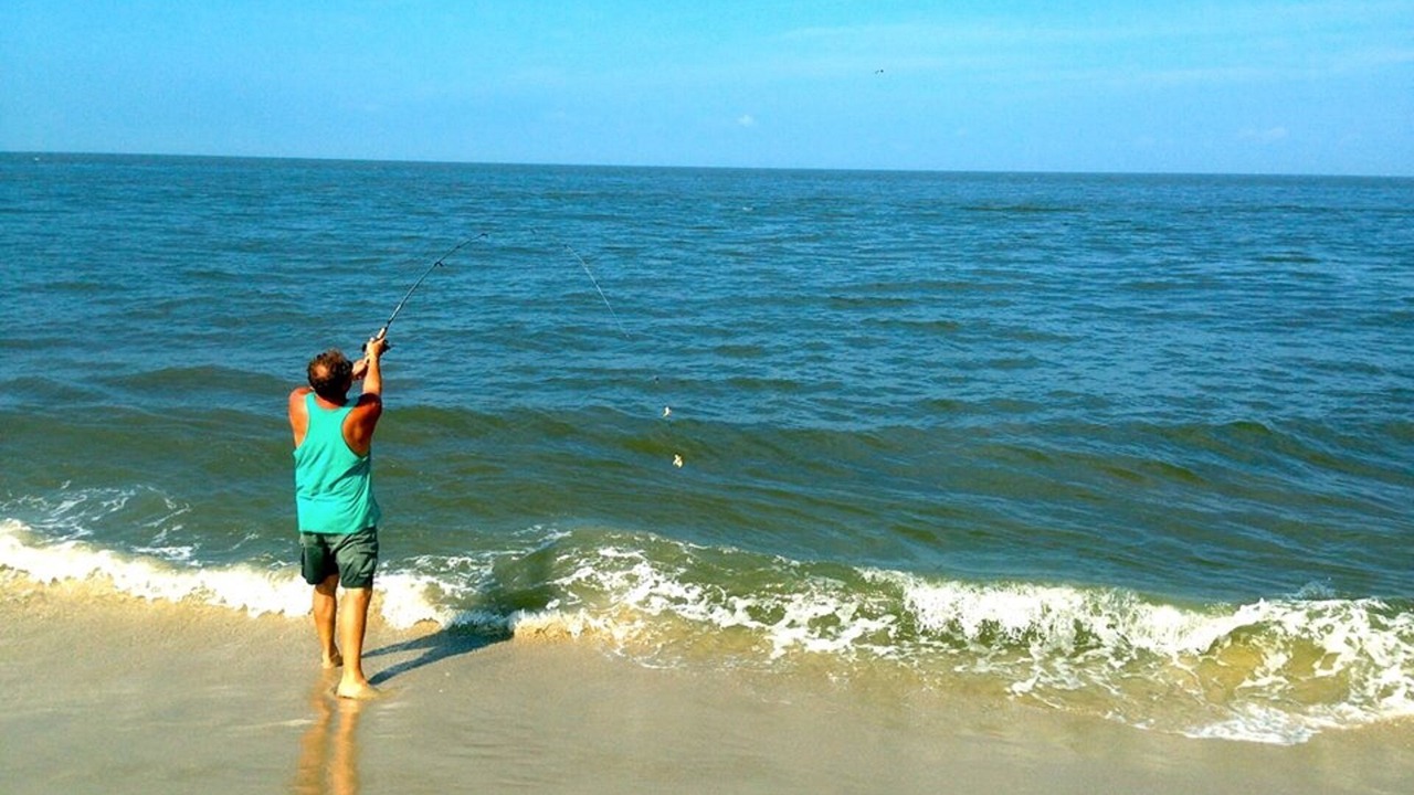 Photo of Others in Cape May Point