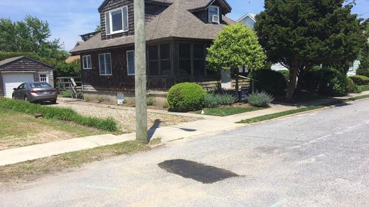 Photo of Outdoor in Cape May Point