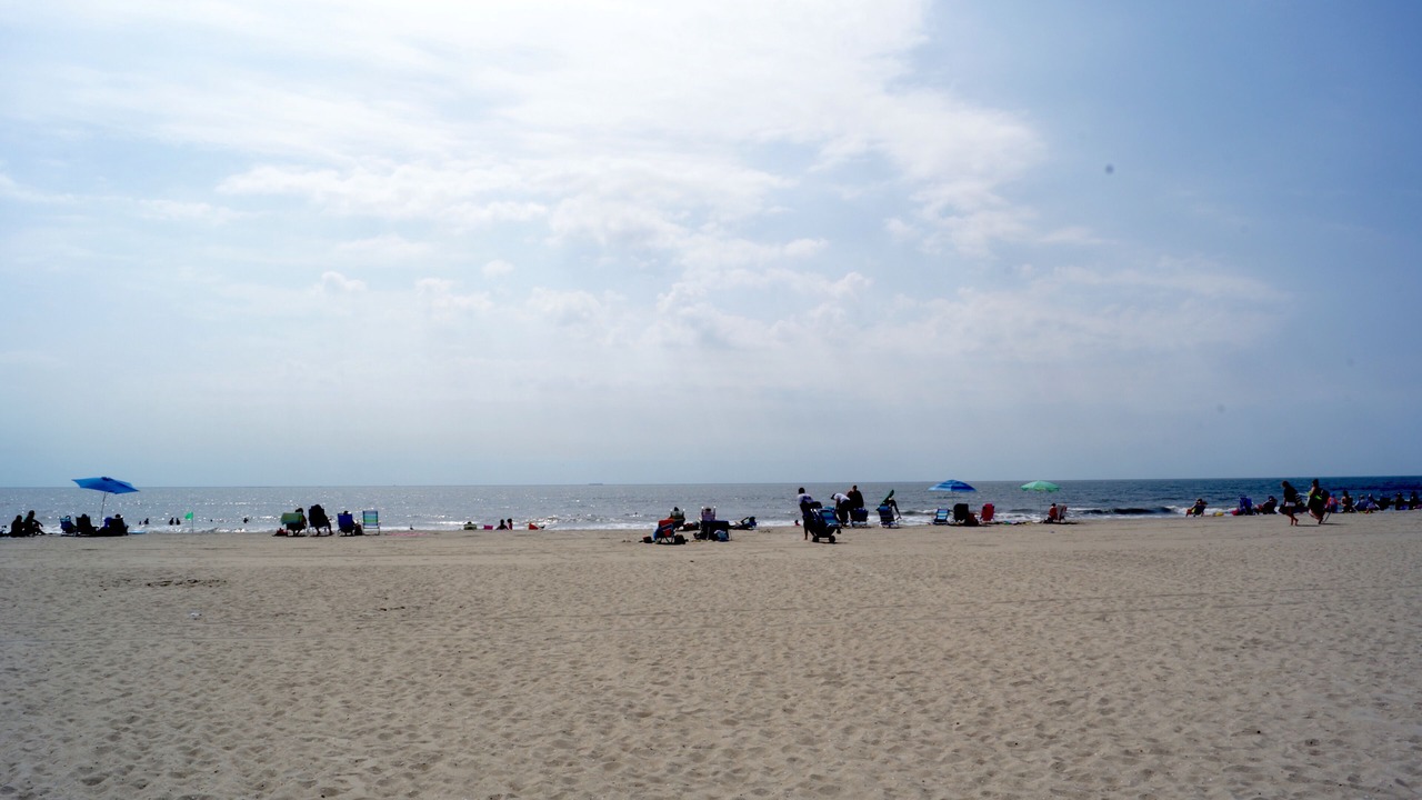 Photo of Others in South End