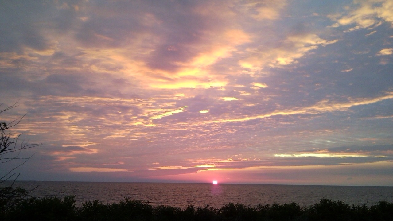Photo of Others in North Cape May
