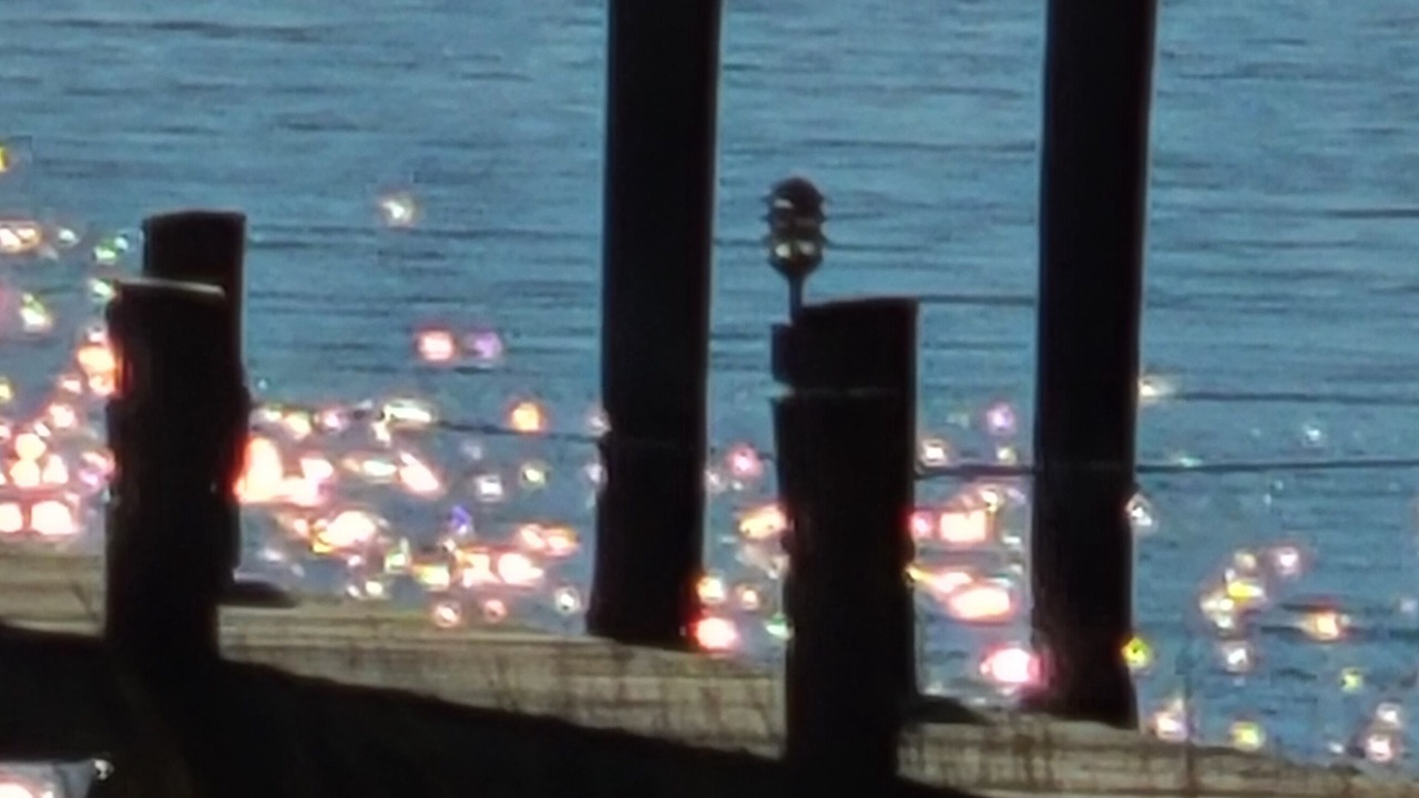 Photo of Outdoor in St. Michaels