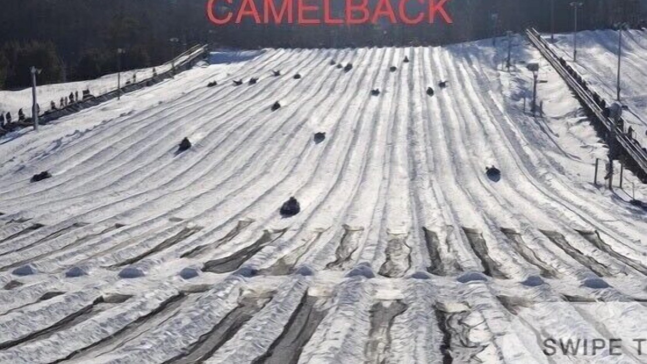Photo of Others in Canadensis