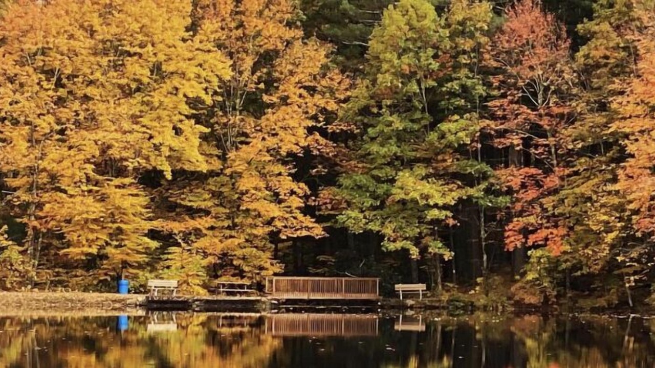 Photo of Outdoor in Canadensis