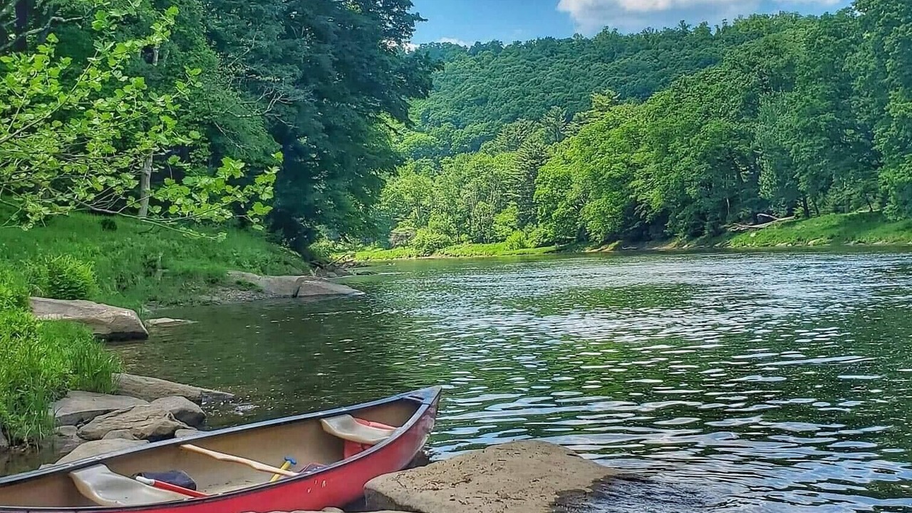 Photo of Others in Portland Mills