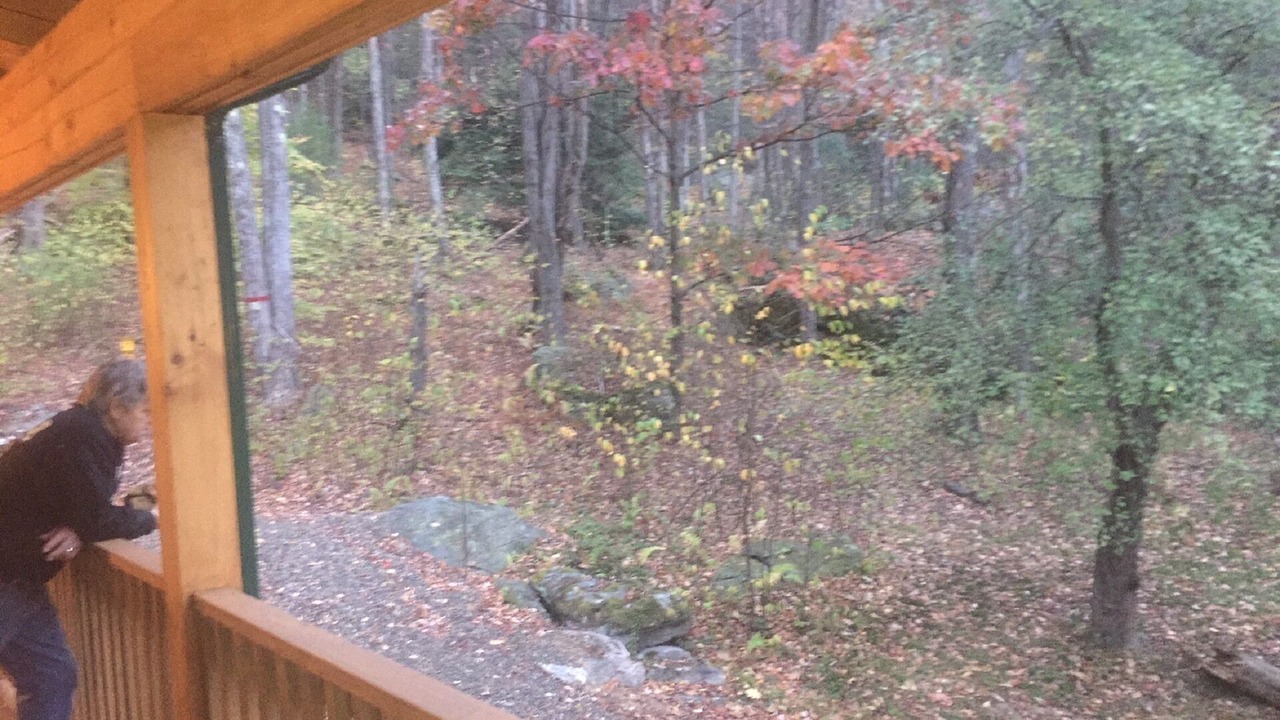 Photo of Others in Portland Mills