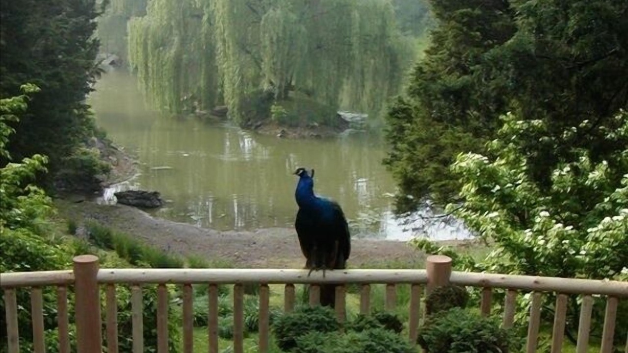 Photo of Others in Whites Creek