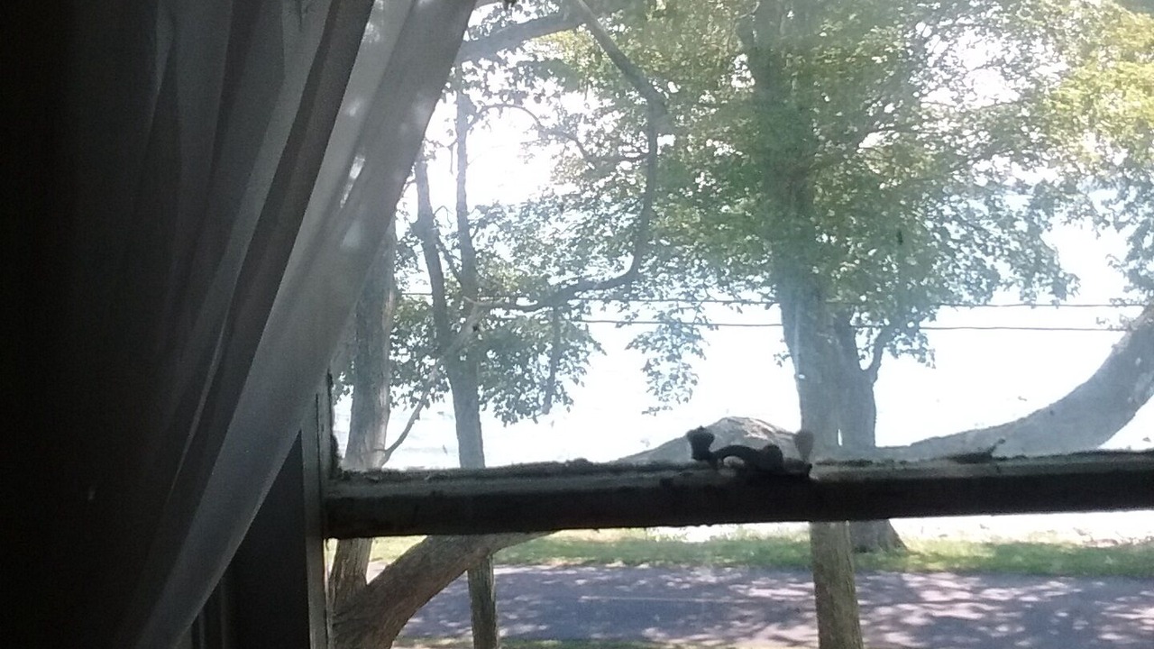 Photo of Others in Kelleys Island