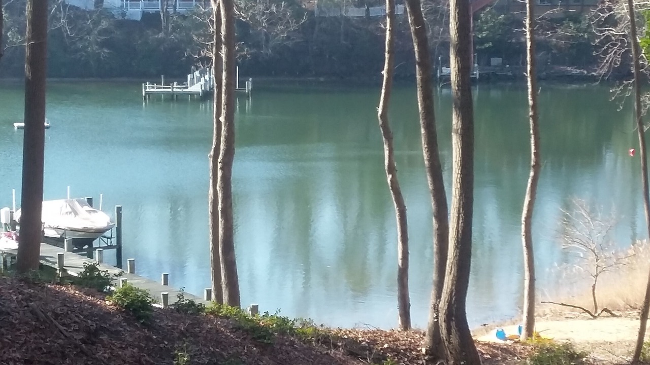 Photo of Others in Herald Harbor