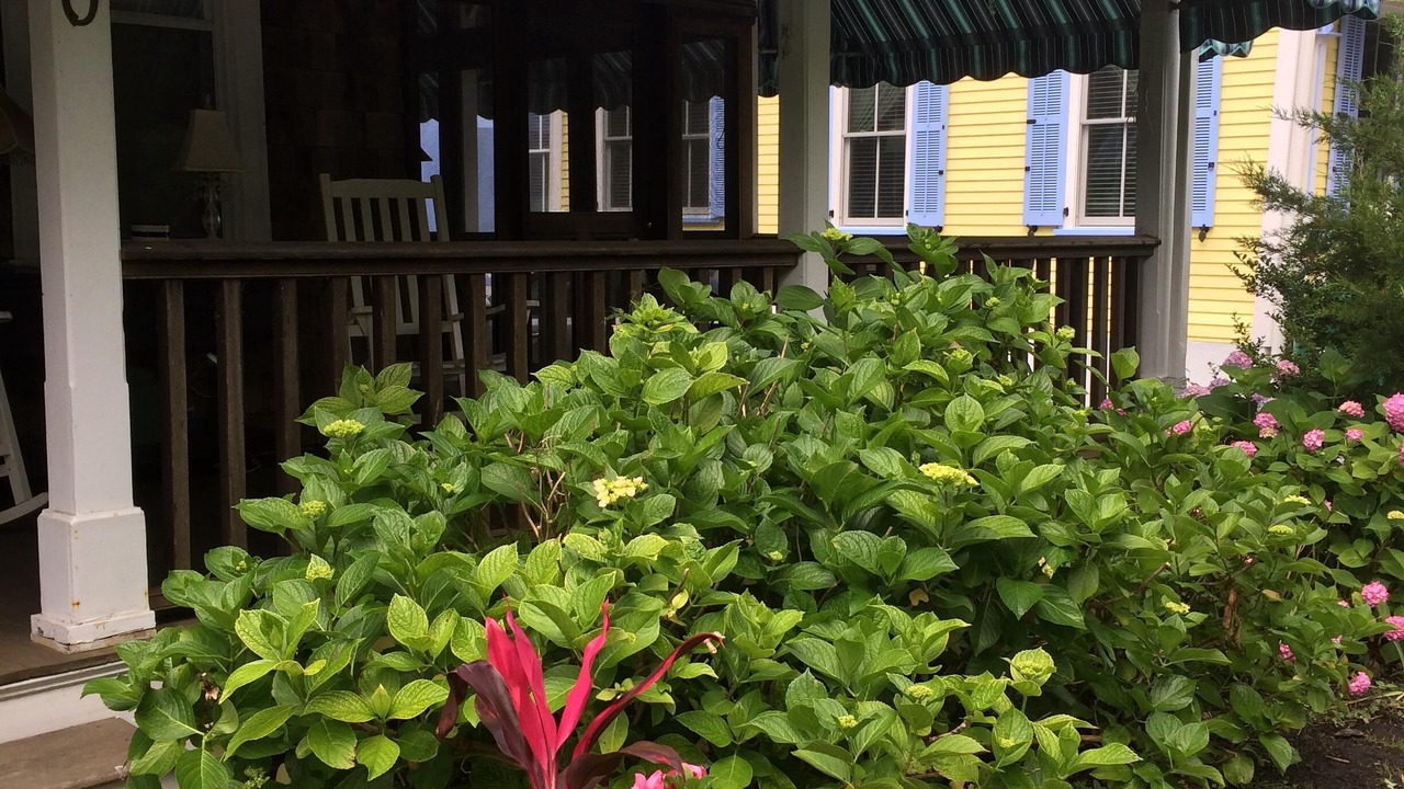 Photo of Outdoor in Cape May