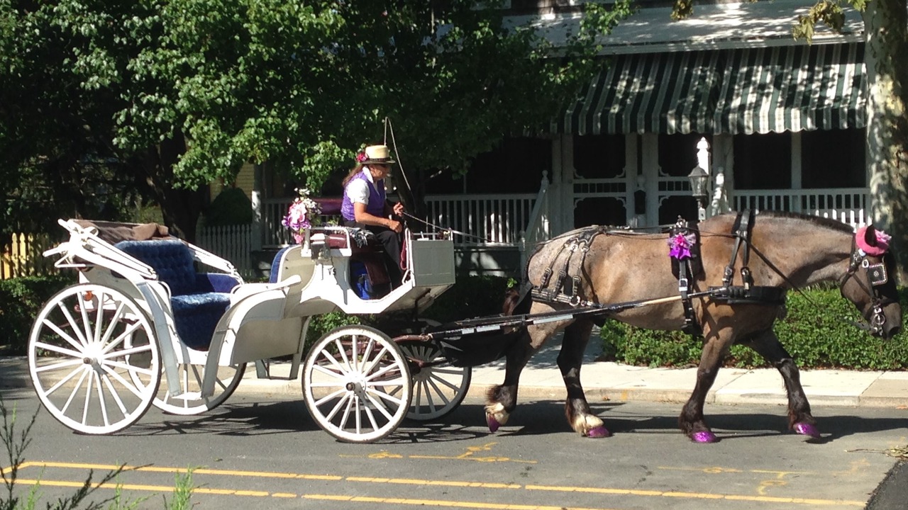 Photo of Others in Cape May