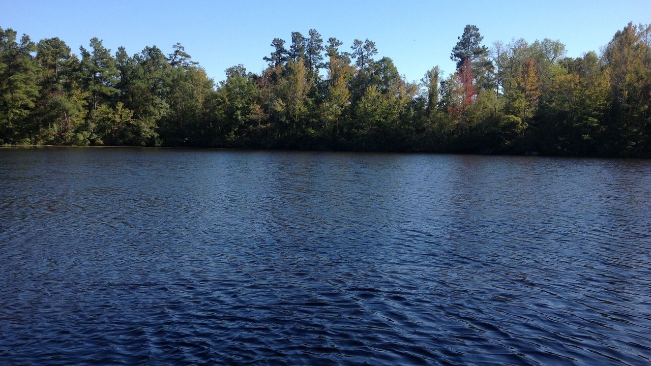 Photo of Outdoor in Orangeburg
