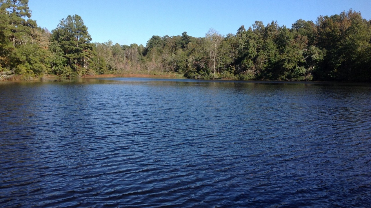 Photo of Outdoor in Orangeburg