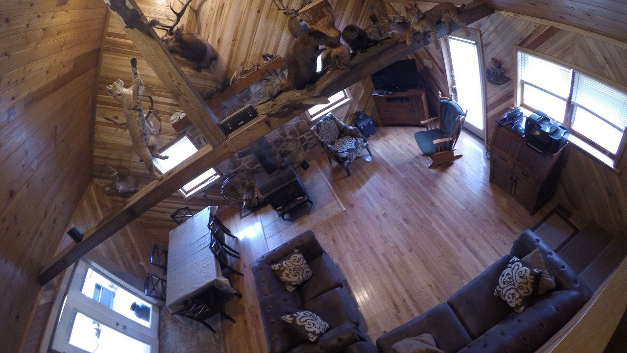 Photo of Bedroom in Driftwood